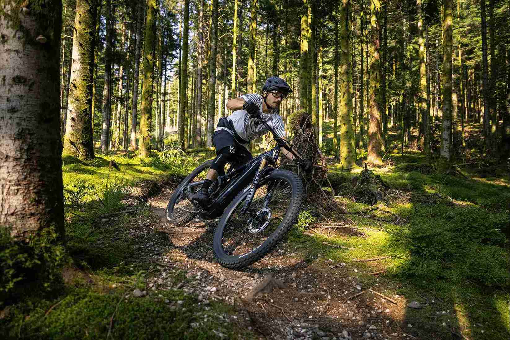 vttae forêt